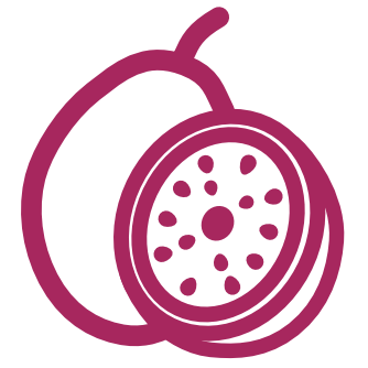 Illustration of a fruit with a white background